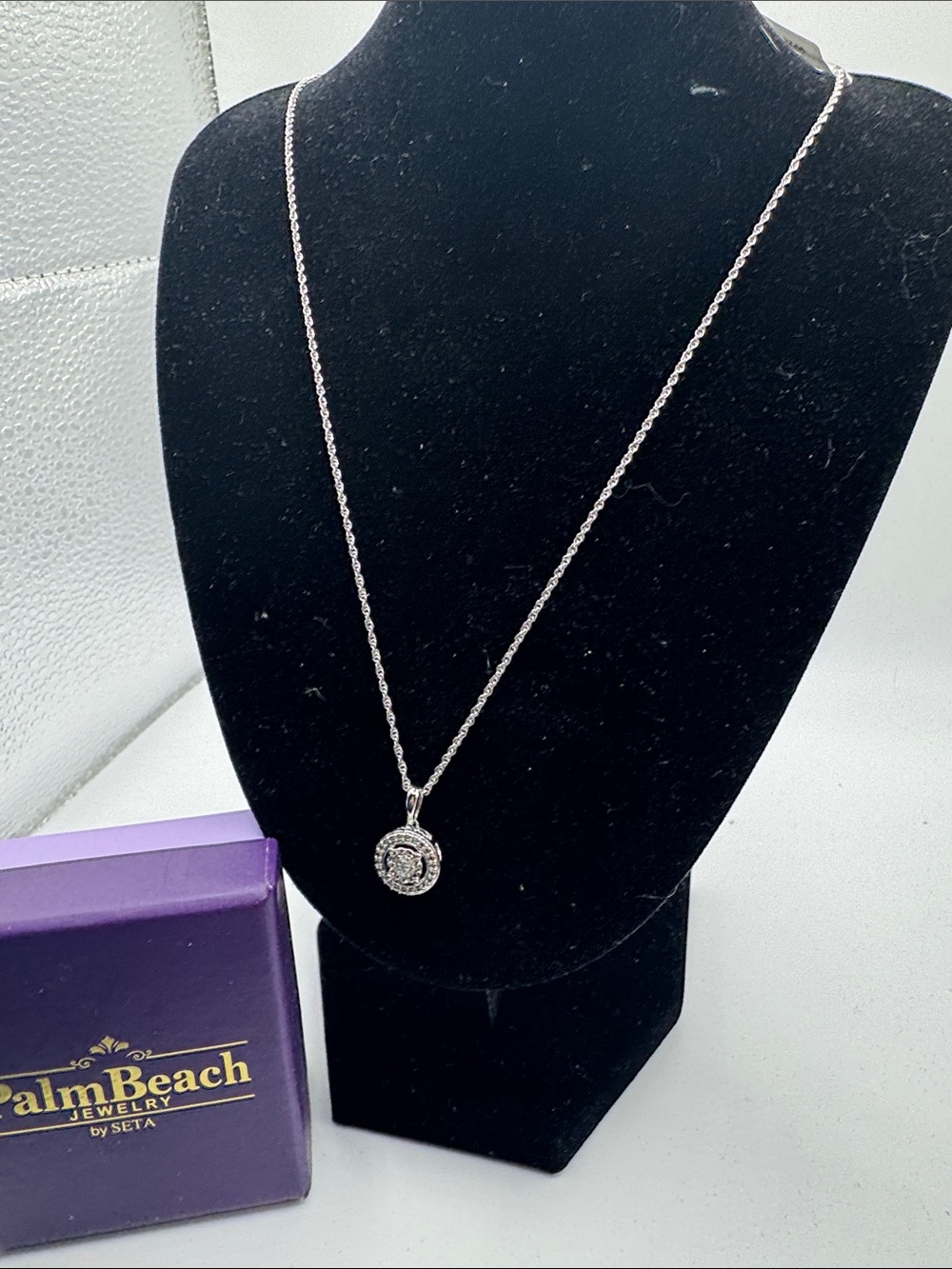 PalmBeach Jewelry Silver Circle Crystal Pendant Necklace